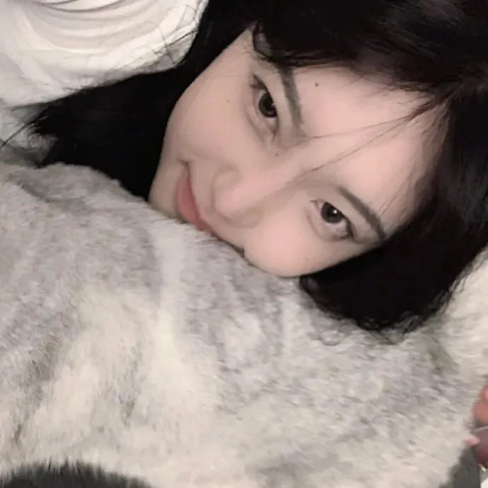 朱门情仇