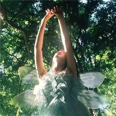 灯塔世家